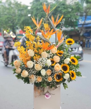 Shop Hoa Bình Thuận